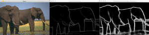 Edge Detection results
