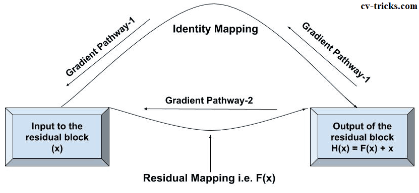 Gradient Pathways in ResNet